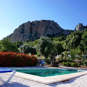 Olive Branch Guest house